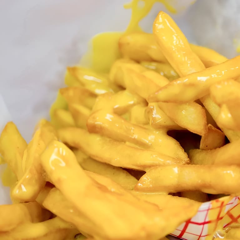 Delicious cheese fries